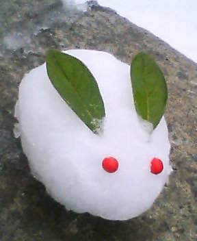 雪ウサギ Japaneseclass Jp